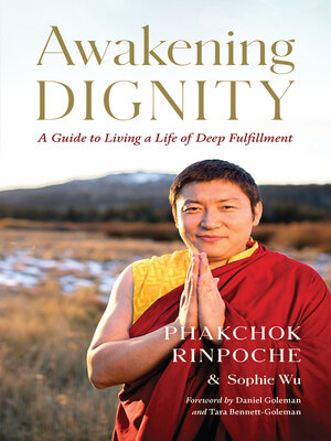 cover image of Awakening Dignity